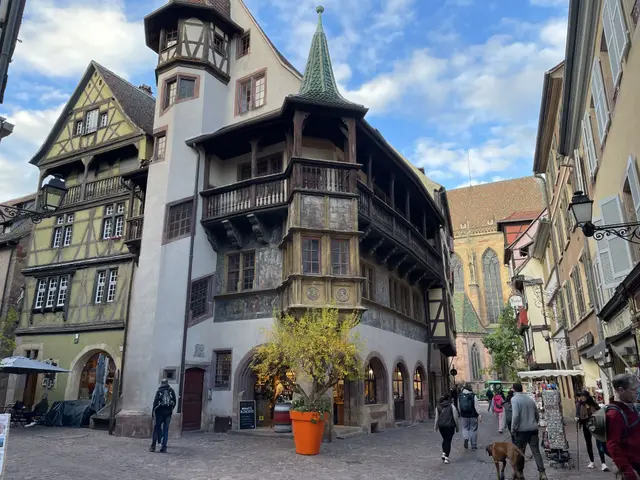 Colmar 6
